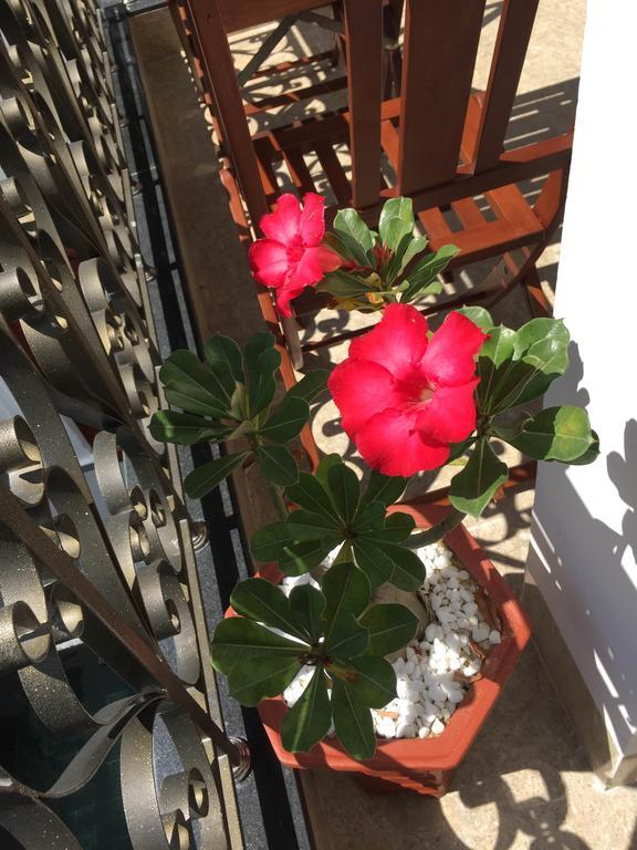 Iris De Villa Hội An Kamer foto